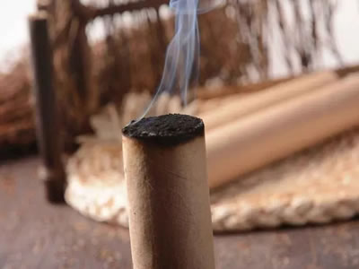 医新模式|不用住院也能报销，我院中医日间病房开诊了！