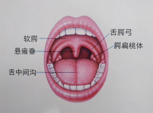微信图片_20250611083431.png